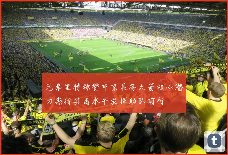 范弗里特称赞申京具备火箭核心潜力期待其高水平发挥助队前行