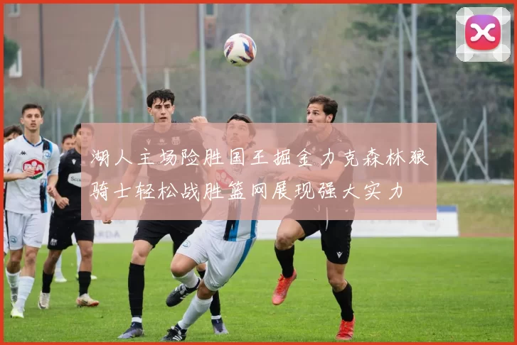 湖人主场险胜国王掘金力克森林狼骑士轻松战胜篮网展现强大实力